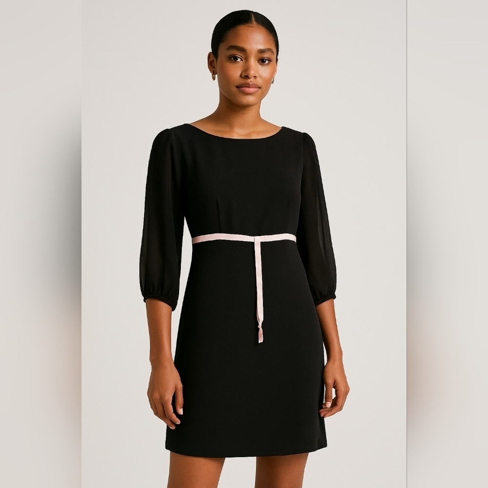 Ted Baker Sz3 Black Dress with Pink Accents